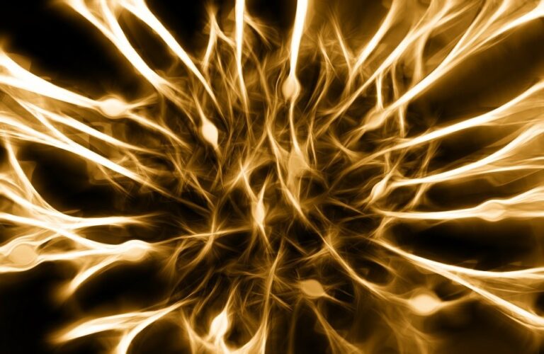 Stymulacja nerwów może łagodzić ostre stany zapalne